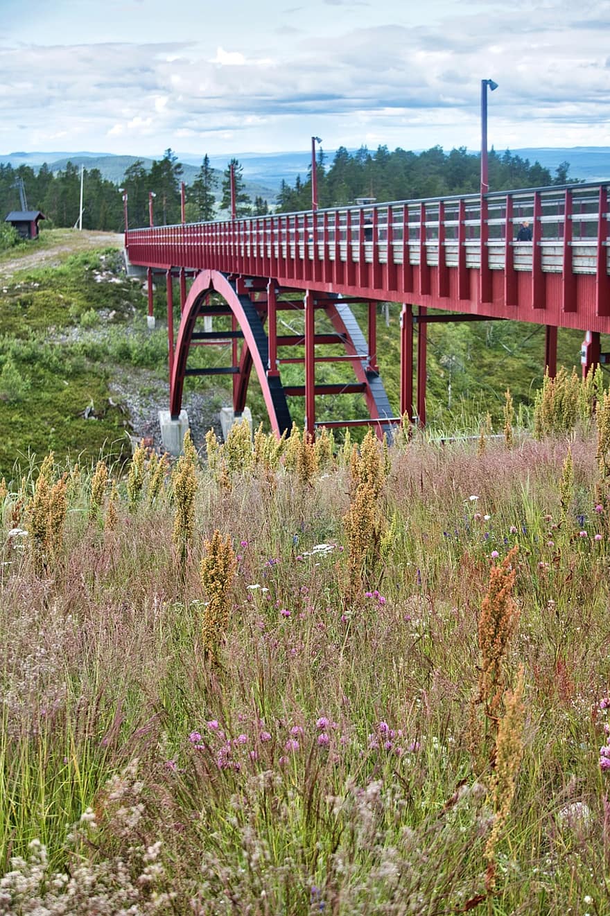 Bridge, Mountain, River, Road, Steel, Structure, Architecture, Arch, Grass, Plants, Meadow