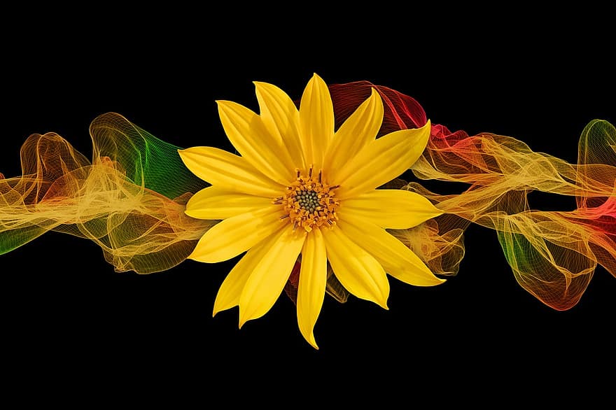 girassol, Flor, flor, partículas, cor, fita, onda, linhas, abstrato, banda, amarelo