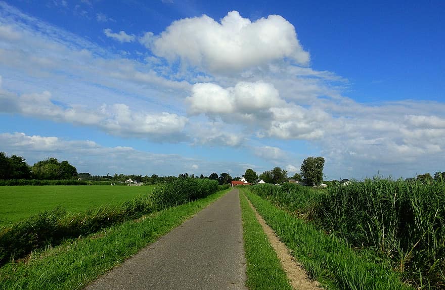Campiña holandesa, rural, la carretera, juncos, hierba, prado, casa de Campo, cielo azul, nubes