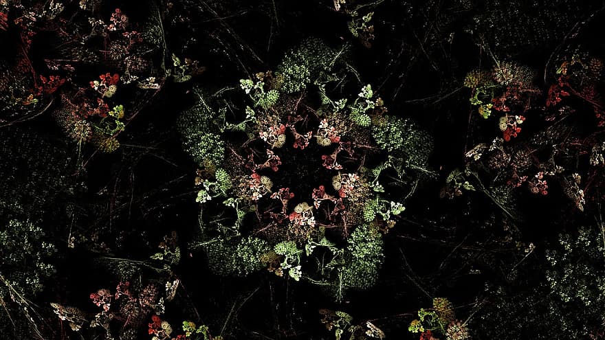 fractal, fractal art, ψηφιακή τέχνη, αφηρημένη, λουλούδια