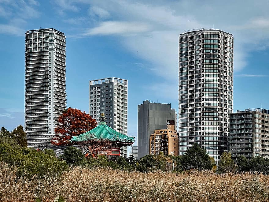 Shinobazu بركة ، اليابان ، مدينة ، حديقة أوينو ، مدينة تايتو ، طوكيو ، أبراج سكنية ، ابراج الشقق ، خط السماء ، هندسة معمارية ، المبنى الخارجي