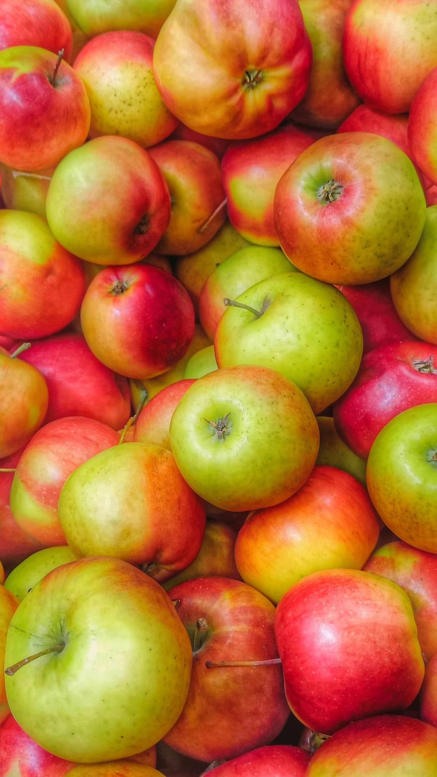fruta, maçãs, saudável, nutrição, dieta, colheita, frutuoso, vitaminas, vegetarianismo, vegetariano, vegan