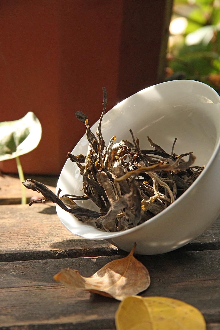 Té Pu'er, té pu-erh, té, cultura del te, hoja, de cerca, madera, comida, otoño, planta, cuenco