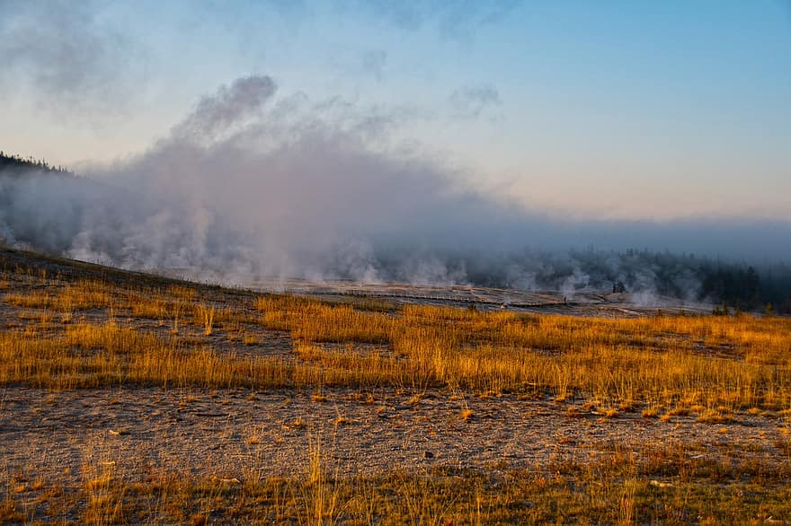 Prado, névoa, nascer do sol, ao ar livre, outono, Yellowstone, Wyoming, Parque Nacional, EUA, Parque nacional Yellowstone, turismo
