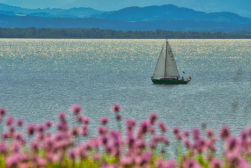lago, barca a vela, fiori, fiore, natura, paesaggio, montagne, nave nautica, andare in barca, yacht, vela