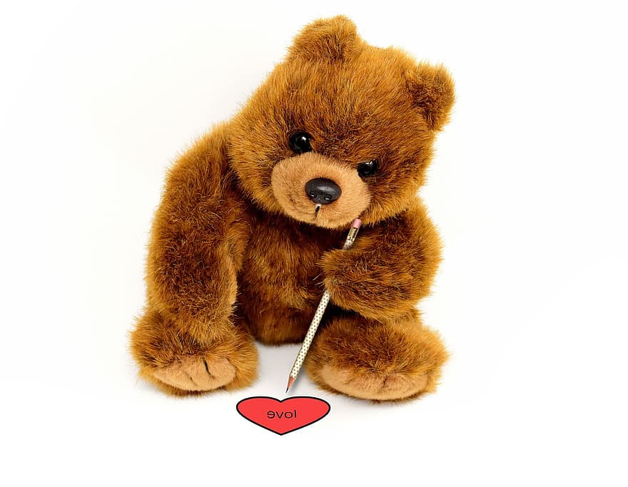 плюшевый медведь, чучело, нести, игрушка, Тедди, милый, милая, романтик