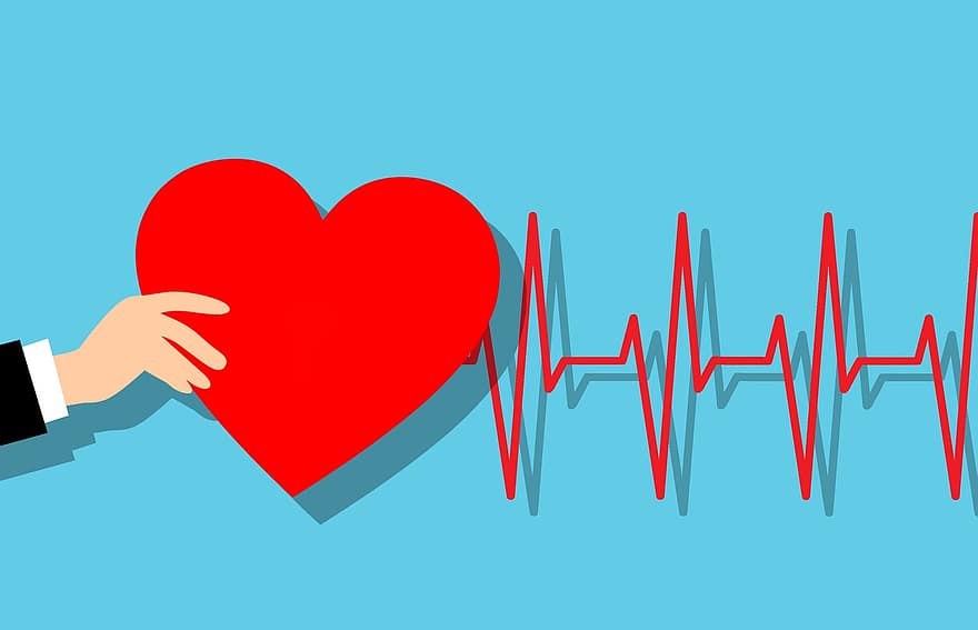 batecs del cor, cor, mà, cardíac, tarifa, Línia de batec del cor, anàlisi, sang, cardio, comprobar, freqüència