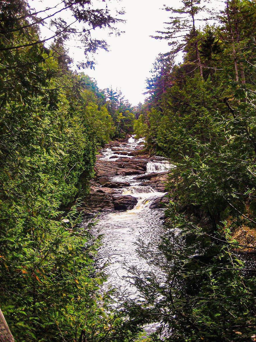 rivier-, stroom, Bos, boom, landschap, water, groene kleur, zomer, berg-, vloeiende, blad
