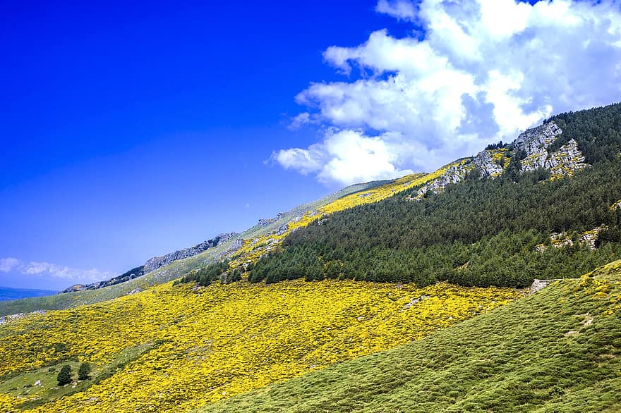 горы, цветы, поле, пейзаж, луг, природа, сельская местность, туризм, Ardèche