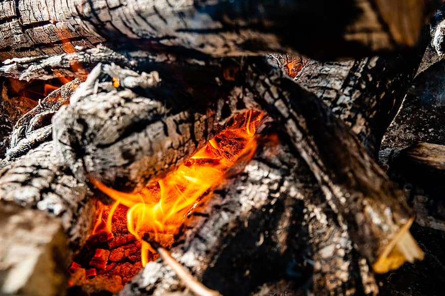 ild, Brænde, aske, varme, træ, lejrbål, bål, brændt, brænding, brænde, glød