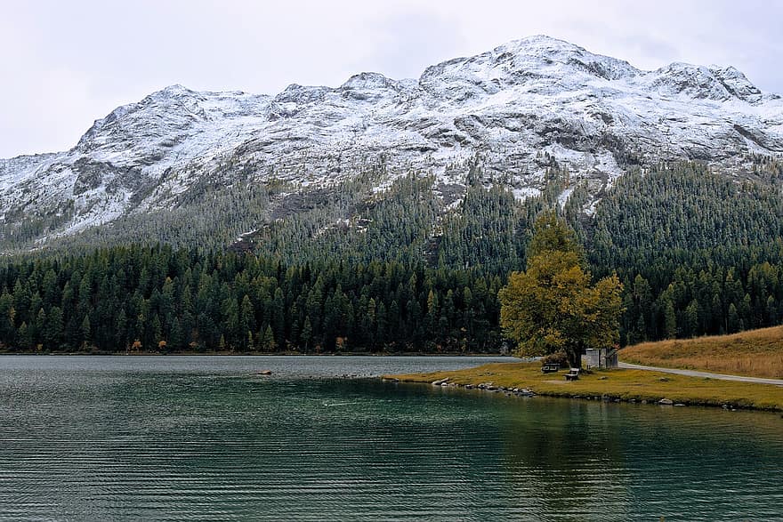 ezers, raksturs, ceļot, izpēte, ārā, kalni, Šveice, st moritz, kritums, ainavu, rudens ainava