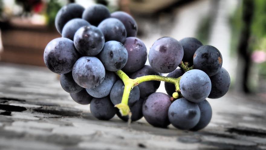 anggur, buah-buahan, sehat, banyak, panen, anggur hitam, menghasilkan, buah segar, makanan