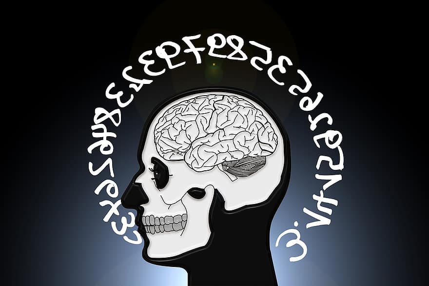 czaszka i Piszczele, czaszka, mózg, cewki, śmierć, przerażający, dziwne, przerażenie, halloween, anatomia, gotyk
