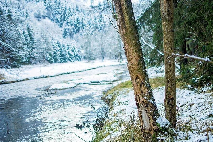 cây, con sông, mùa đông, tuyết, rừng, gỗ, sương giá, lạnh, Thiên nhiên, phong cảnh, Mùa