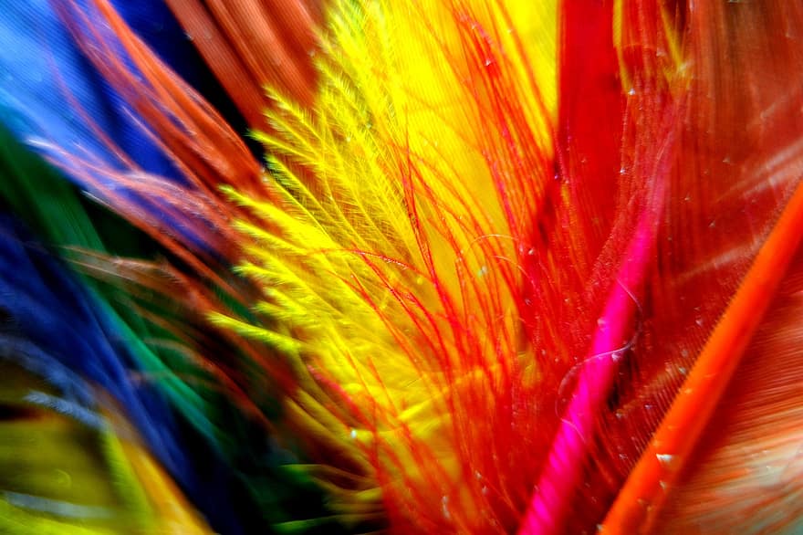 plumes, coloré, décor de plumes, multi couleur, fermer, abstrait, modèle, arrière-plans, couleurs, couleurs éclatantes, macro