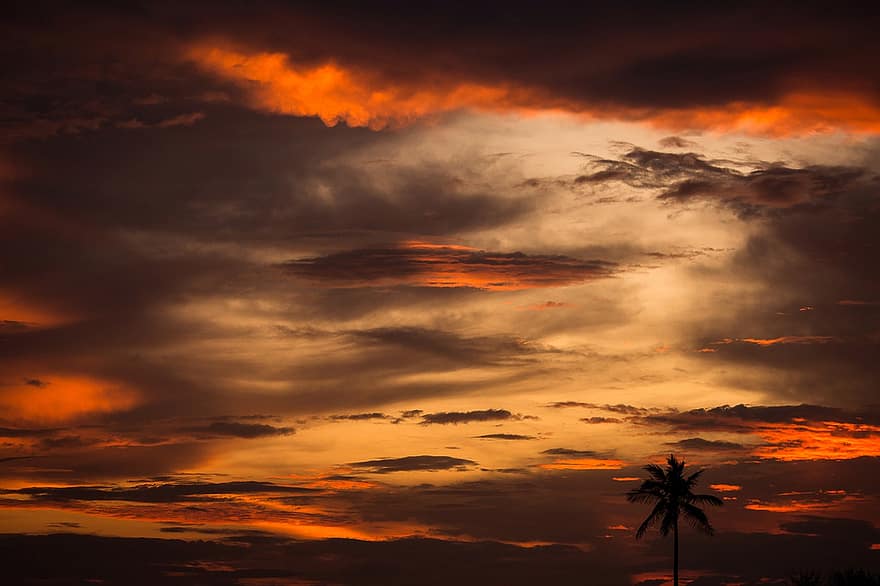 небо, облака, заход солнца, природа, кокосовая пальма, смеркаться, сумерки, силуэт, декорации