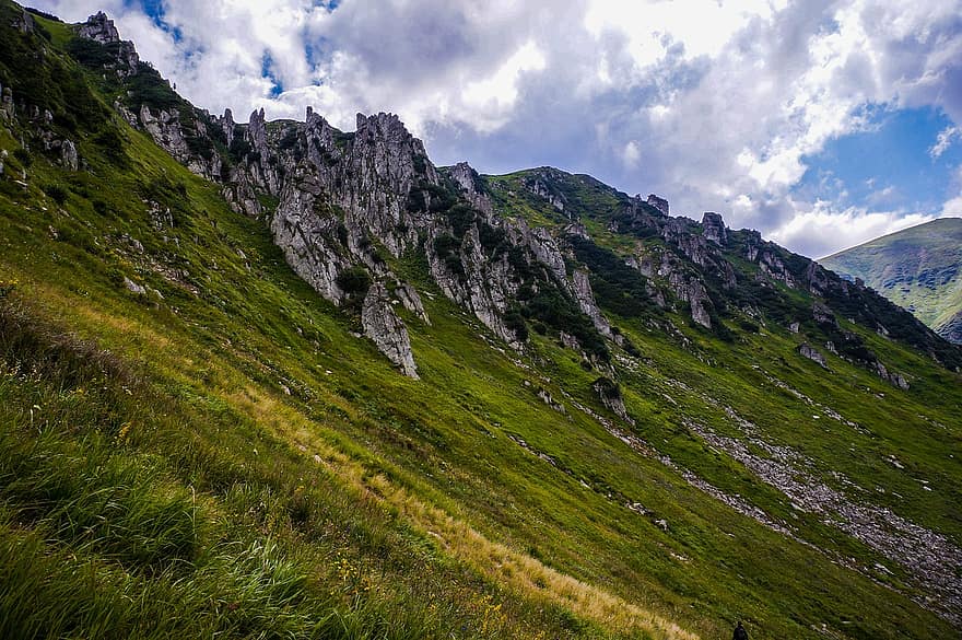 montagne, rocce, colline, erba, valle, Carpazi, Ucraina, natura