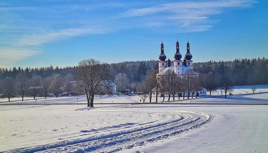 kościół, wieża kościoła, drzewa, zimowy, śnieg, Kapplkirche, pin country, górny palatynat, krajobraz