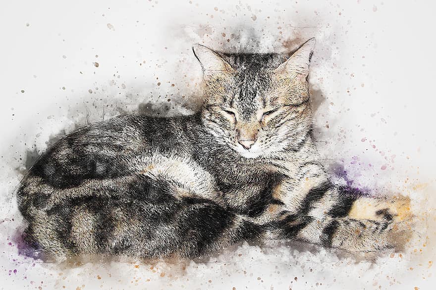 kočka, domácí zvíře, umění, abstraktní, vodové barvy, vinobraní, kotě, umělecký, design, akvarel, tričko