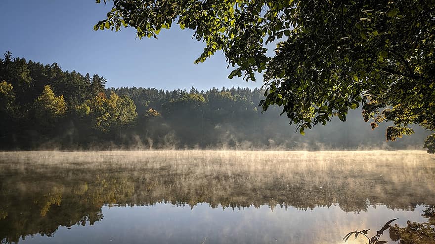 Lake, Forest, Morning, Mist, Europe, Nature, Landscape, Wallpaper, tree, autumn, reflection