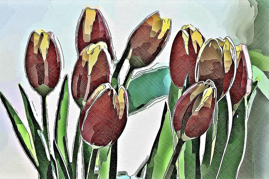 digitale, grafica, tulipano