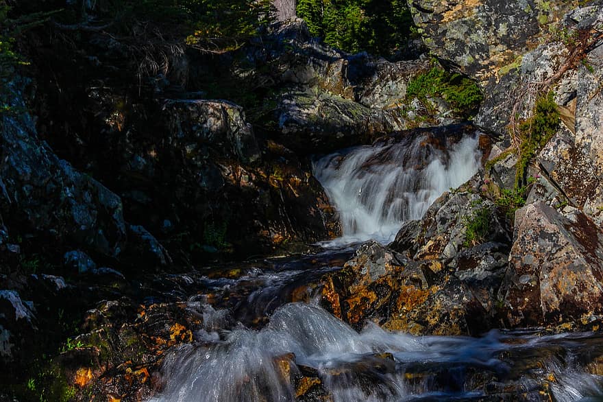 Waterfall, Stream, Forest, Rocks, Stones, Cascades, Flow, Water, River, Scenery, Scenic