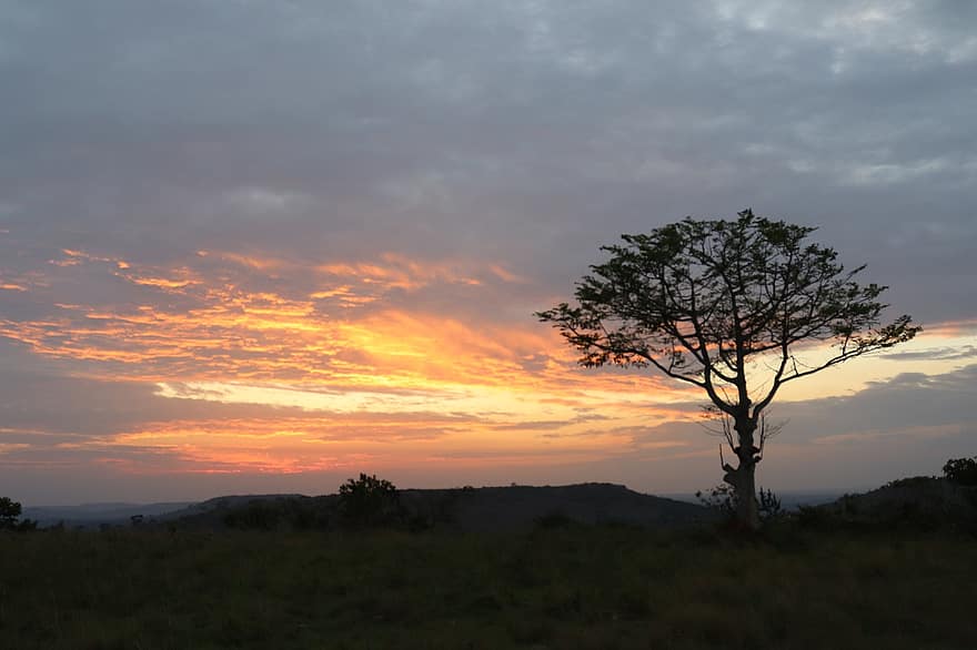 naturaleza, puesta de sol, viaje, oscuridad, al aire libre, exploración, sabana, África, Uganda