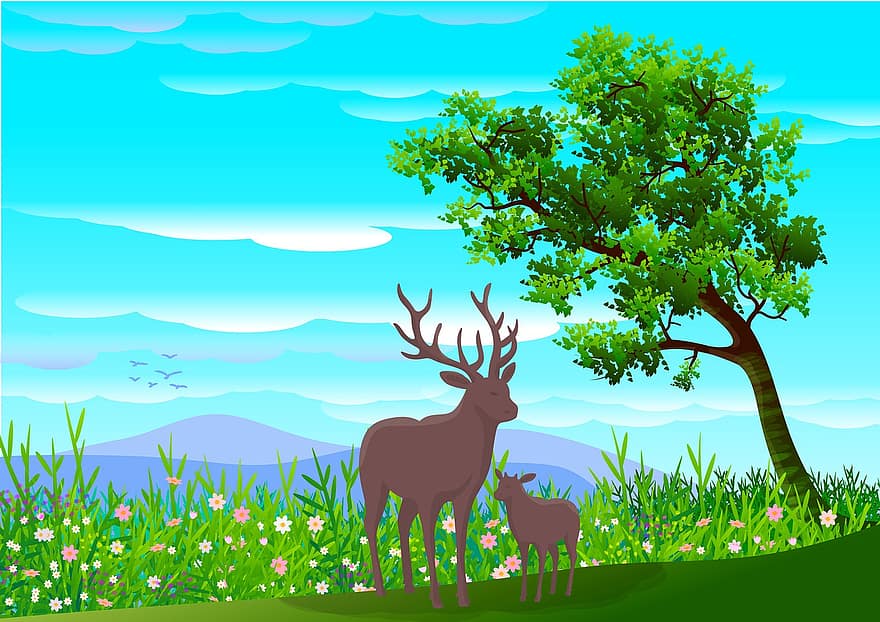 ilustracja, tło, Natura, krajobraz, Tapeta, drzewo, niebo, chmury, ziele, rośliny, kwiaty