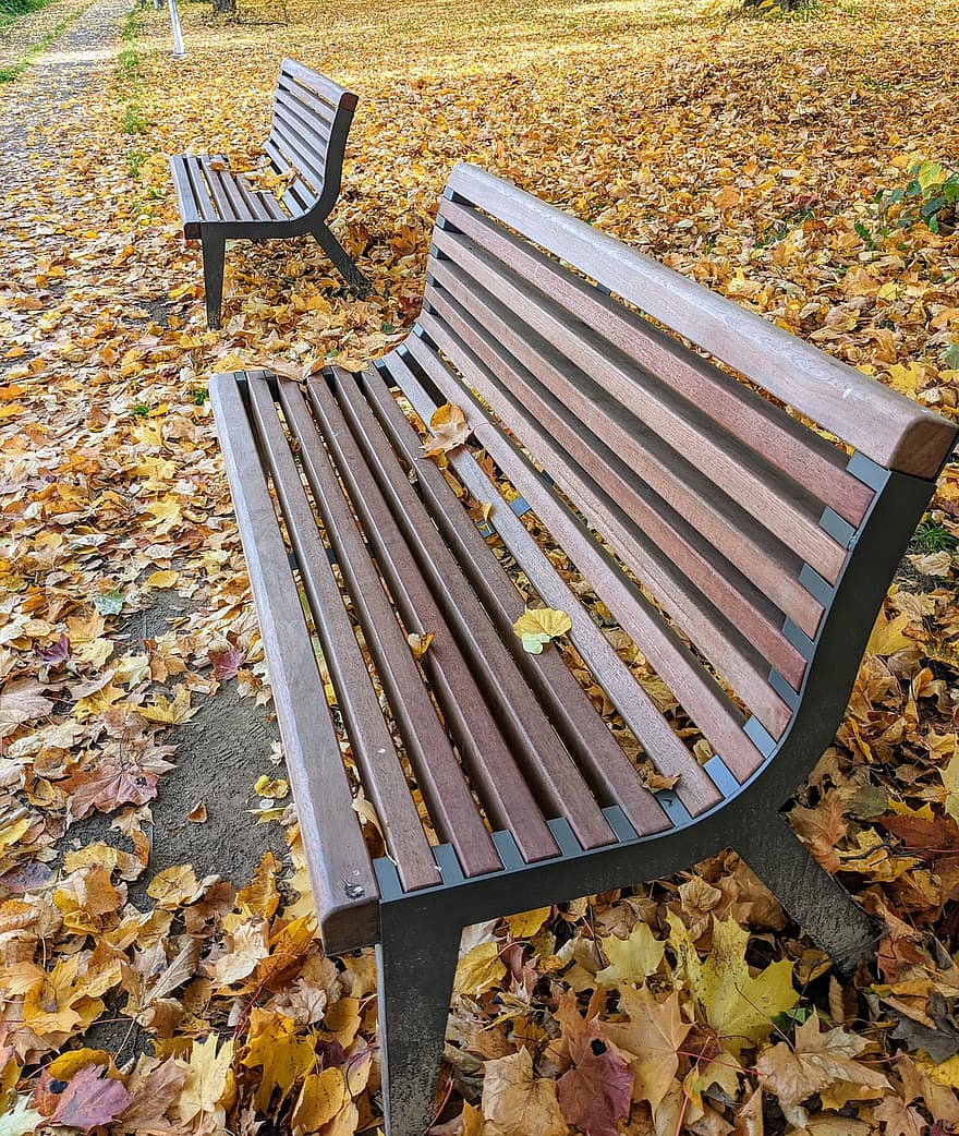Bench, Park, Autumn, Fall, Leaves, Season, Outdoors, leaf, yellow, wood, october