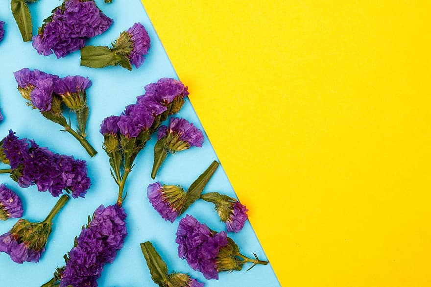 fiori, sfondo floreale, fiori viola, composizione floreale, motivo floreale, carta da parati floreale, copia spazio