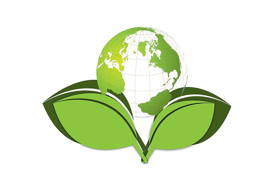 지구, 출생, 새로운, 생기다, 환경, 환경 보호, 환경 친화적 인, 잎, 녹색, 식물, 에코