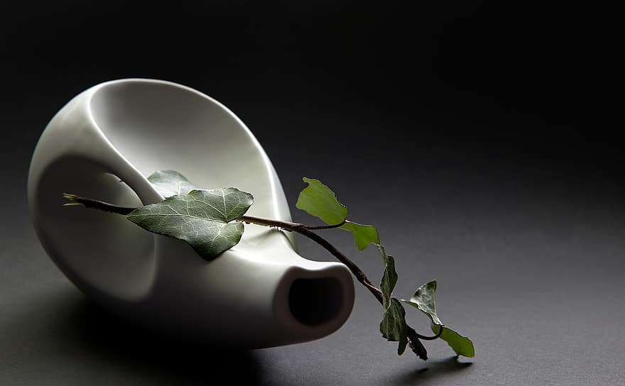 Ivy, Vase, Still Life, Vine, Tendril, Leaves, Plant, Monochrome