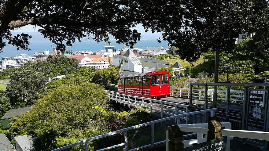 Nova Zelândia, Wellington, cidade, viagem, marca de terra, Além disso, o teleférico, vermelho, panorama, famoso, lindo