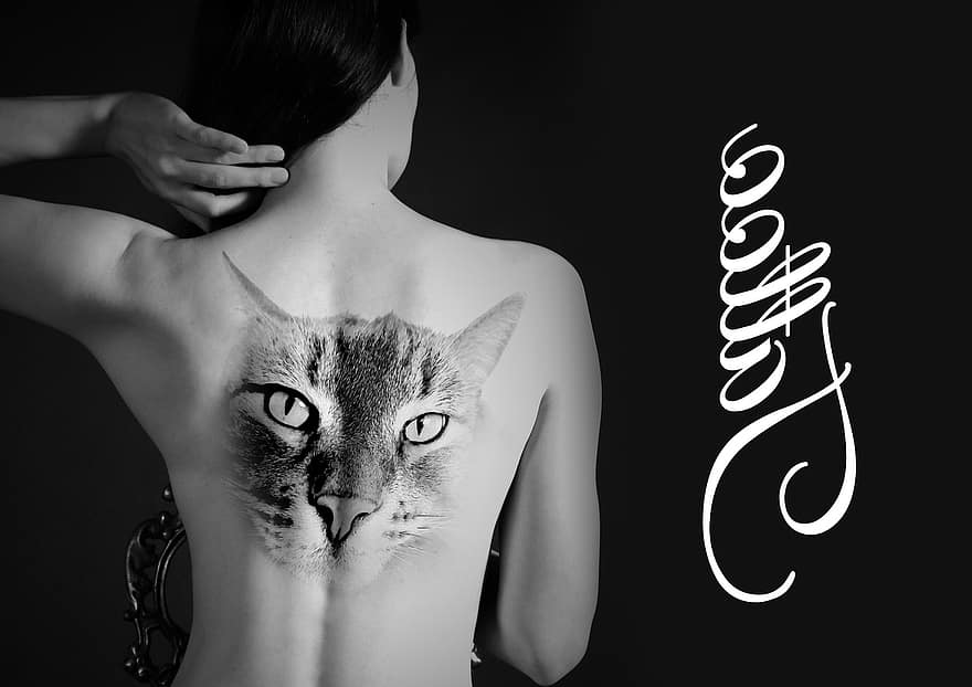 kvinna, flytta, tatuering, katt, koppla av, ta det lugnt, camacho, tamkatt, svartvitt, näsa, kattens ögon