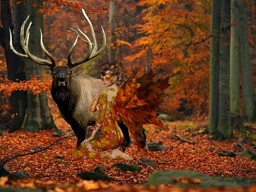 sfondo, boschi, colori autunnali, angelo autunnale, alce, autunno, foresta, albero, animali allo stato selvatico, foglia, cervo