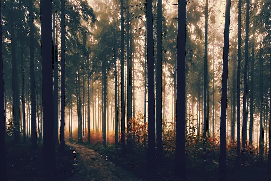 лес, дорожка, хвойное дерево, среда, падать, туман, мгла, пейзаж, леса, деревья, поход