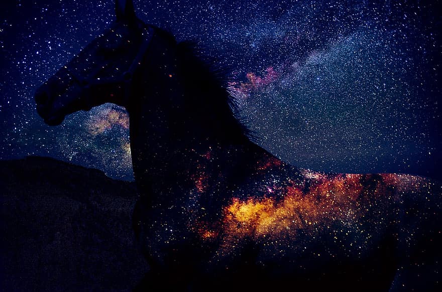 fantasia, astronomia, espai, naturalesa, a l'aire lliure, exploració, llum, fosc, Cavall de les estrelles, barrejar, Black Fantasy