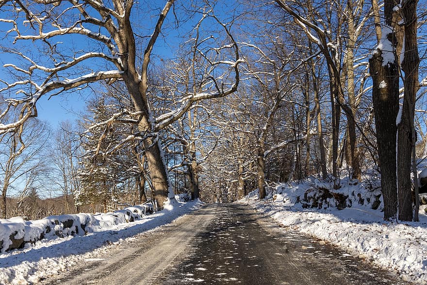 Nature, Landscape, Snow, Winter, Trees, Southborough, Massachusetts, Usa, Road, Scenic Drive, tree