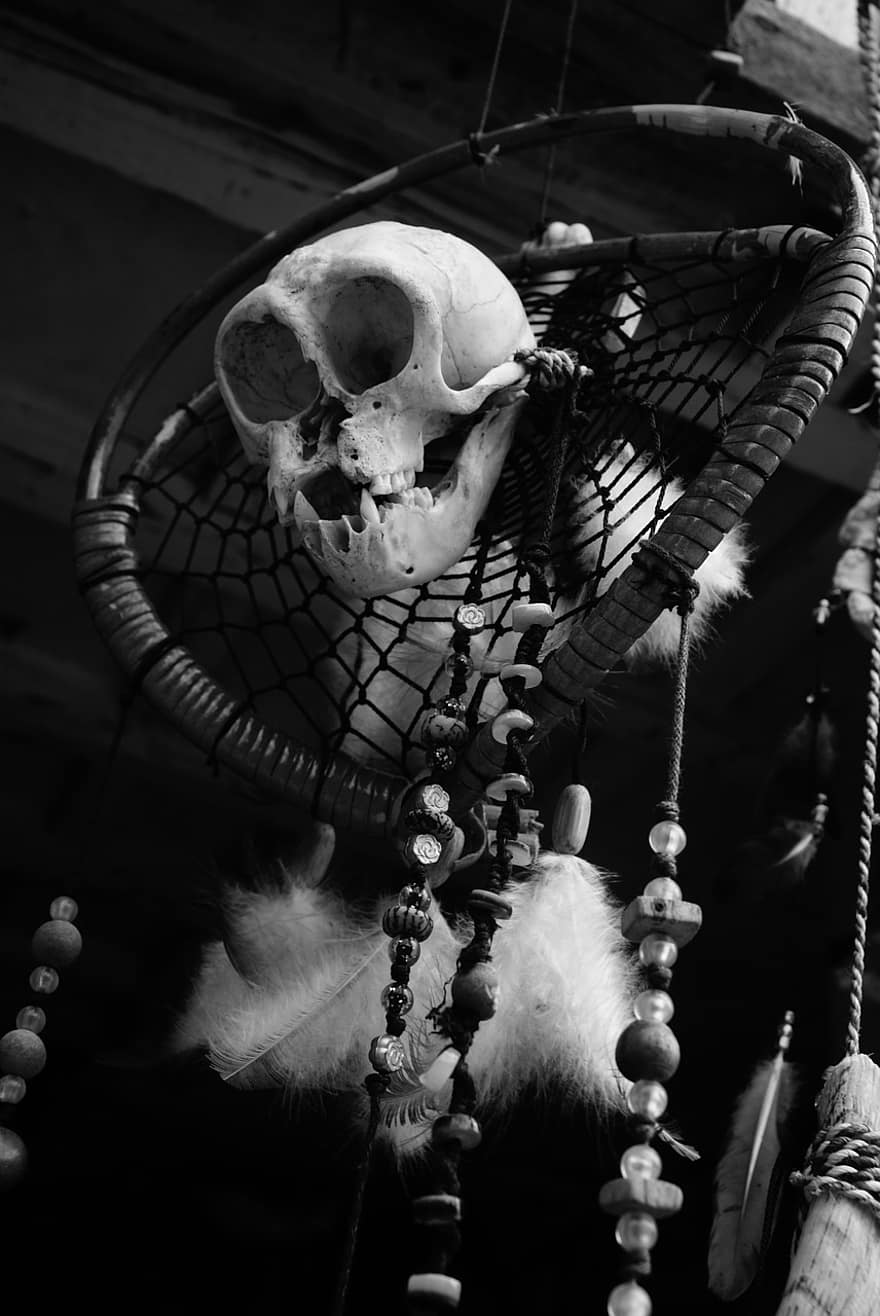 cráneo, Víspera de Todos los Santos, horror, de miedo, escalofriante, mal, muerte, negro, gótico, oscuro, temor