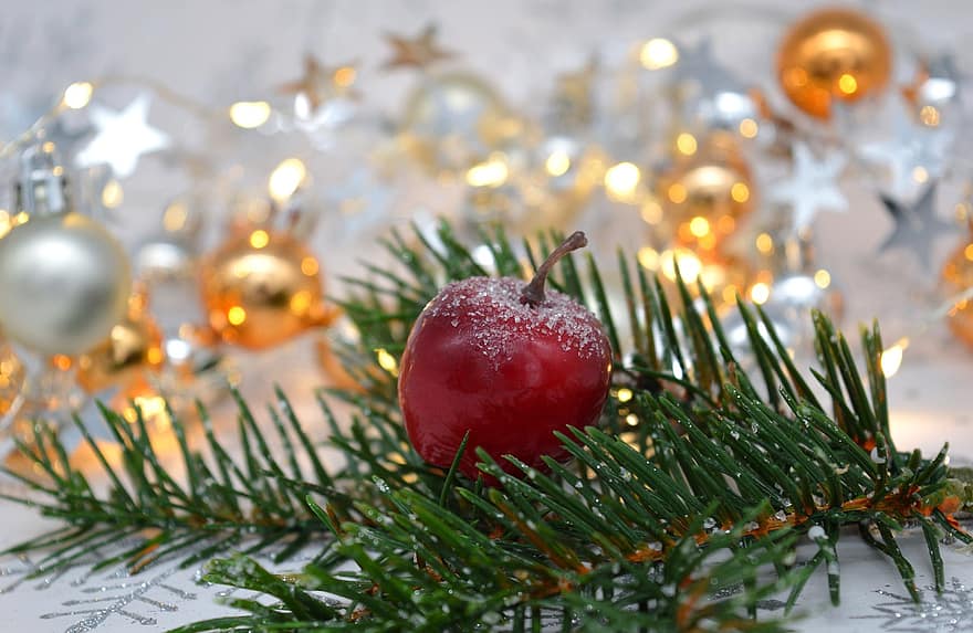 Navidad, manzana, ramas de abeto, adviento, motivo navideño, rama de abeto, Decoración navideña, festivo, luces