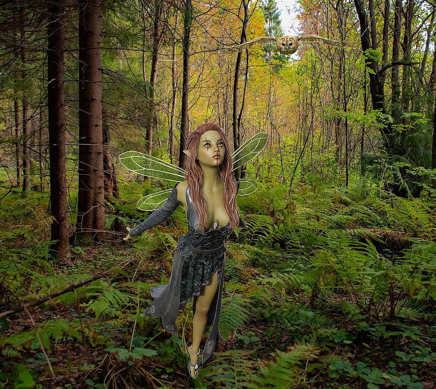 Fata dei boschi sullo sfondo, Fata, folletto, gufo, fantasia, femmina, avatar, personaggio, arte digitale