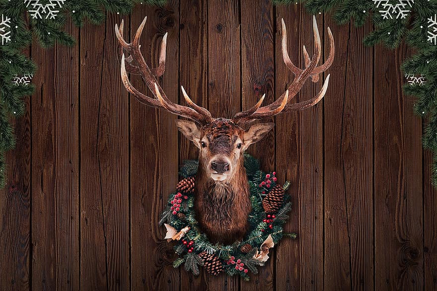 Navidad, ciervo, reno, cabeza, montado, guirnalda, árbol, decoración, dólar, cornamenta, trofeo