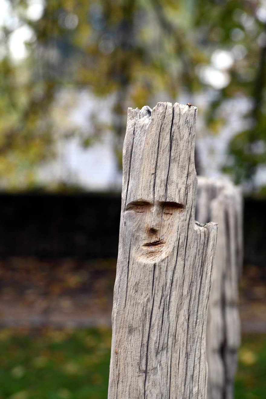 Driftwood, Wooden Sculpture, wood, fence, focus on foreground, old, forest, tree, rural scene, grass, selective focus