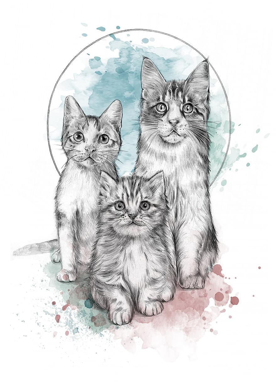 los gatos, gatitos, mascotas, gatos jovenes, animales, gatos domésticos, felino, mamíferos, dibujo