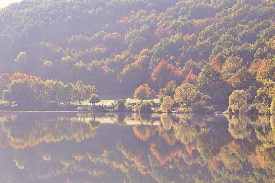 lago, niebla, otoño, reflexión, agua