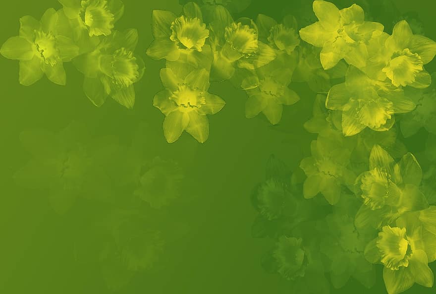 Background, Osterglocken, Green, Spring, Easter, Flowers, Abstract, Fractale, Stationery