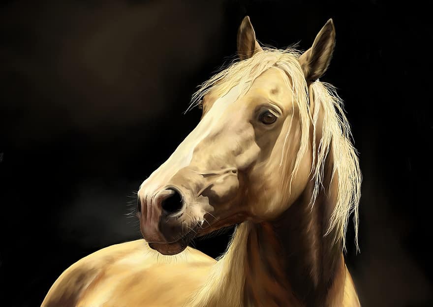 άλογα, κεφάλι αλόγου, πόνυ, βοσκή, των ζώων, φύση, άγριο άλογο, ζωγραφική άλογο