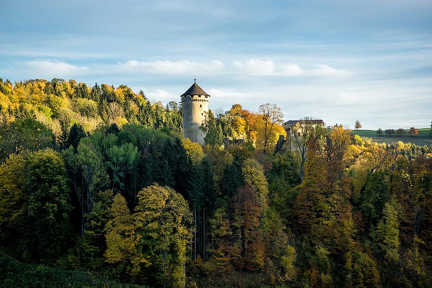 castell, històric, naturalesa, tardor, caure, temporada, Castell de Wildberg, europa, mühlviertel, arquitectura