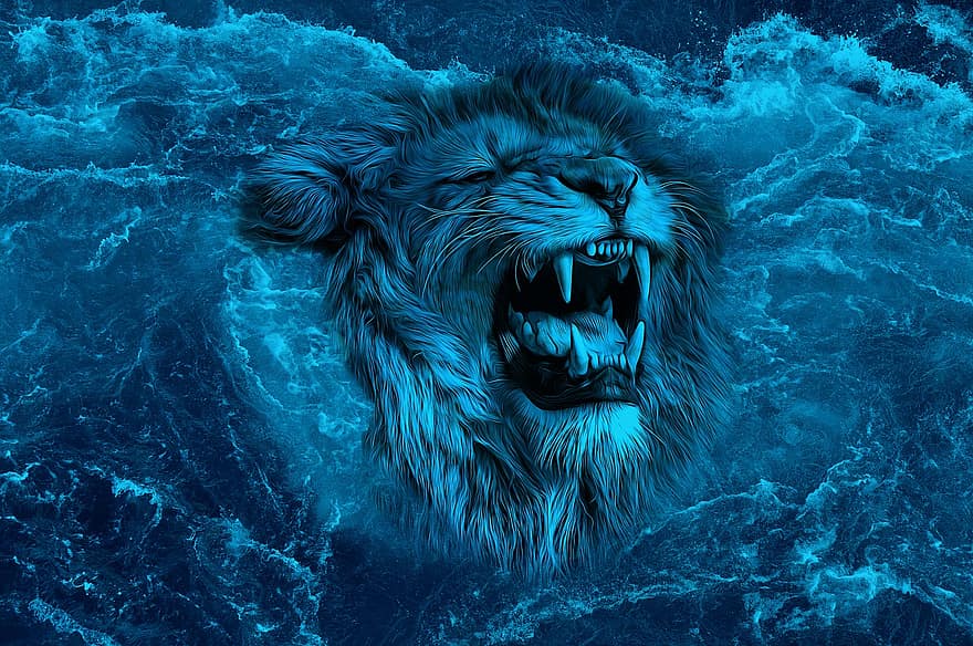 Lion, rugir, mer, crocs, éclaboussure, eau, félin, animaux à l'état sauvage, bleu, danger, dents d'animaux