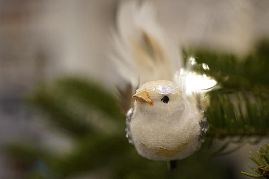птица, белая птица, рождество, дерево, орнамент